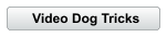 Video Dog Tricks