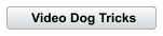 Video Dog Tricks