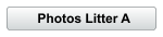 Photos Litter A