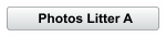 Photos Litter A