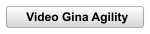 Video Gina Agility